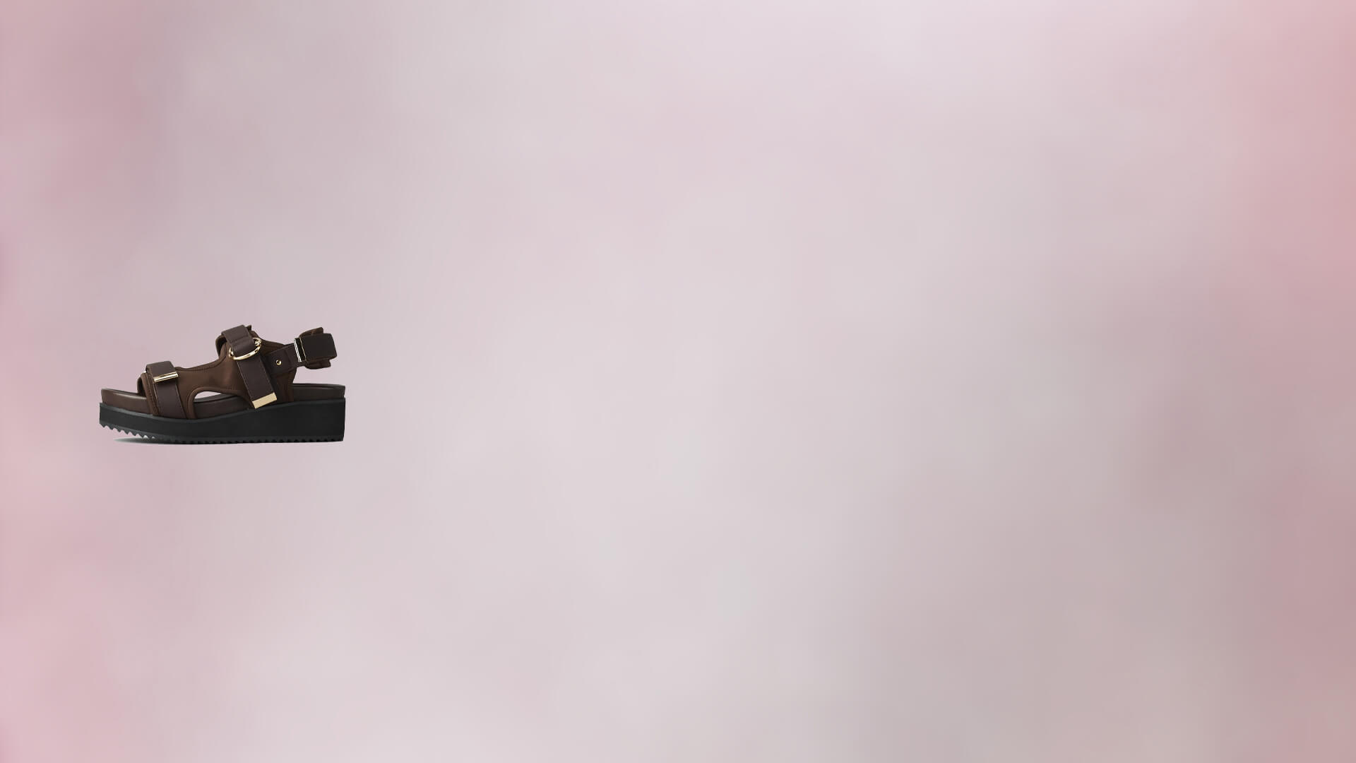 Image Title